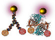 nanoparticule110x80