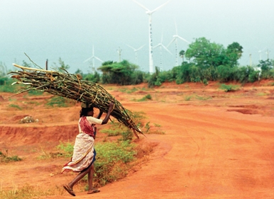 femmes climat