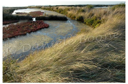 Les marais salants de Batz sur Mer Les marais salants de Batz sur Mer
