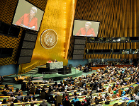 CSW57_h150