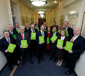 Irish Cabinet 2013 small