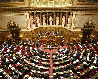 Senat